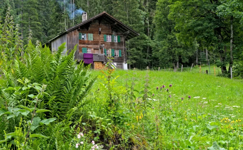 Baita – Aurano